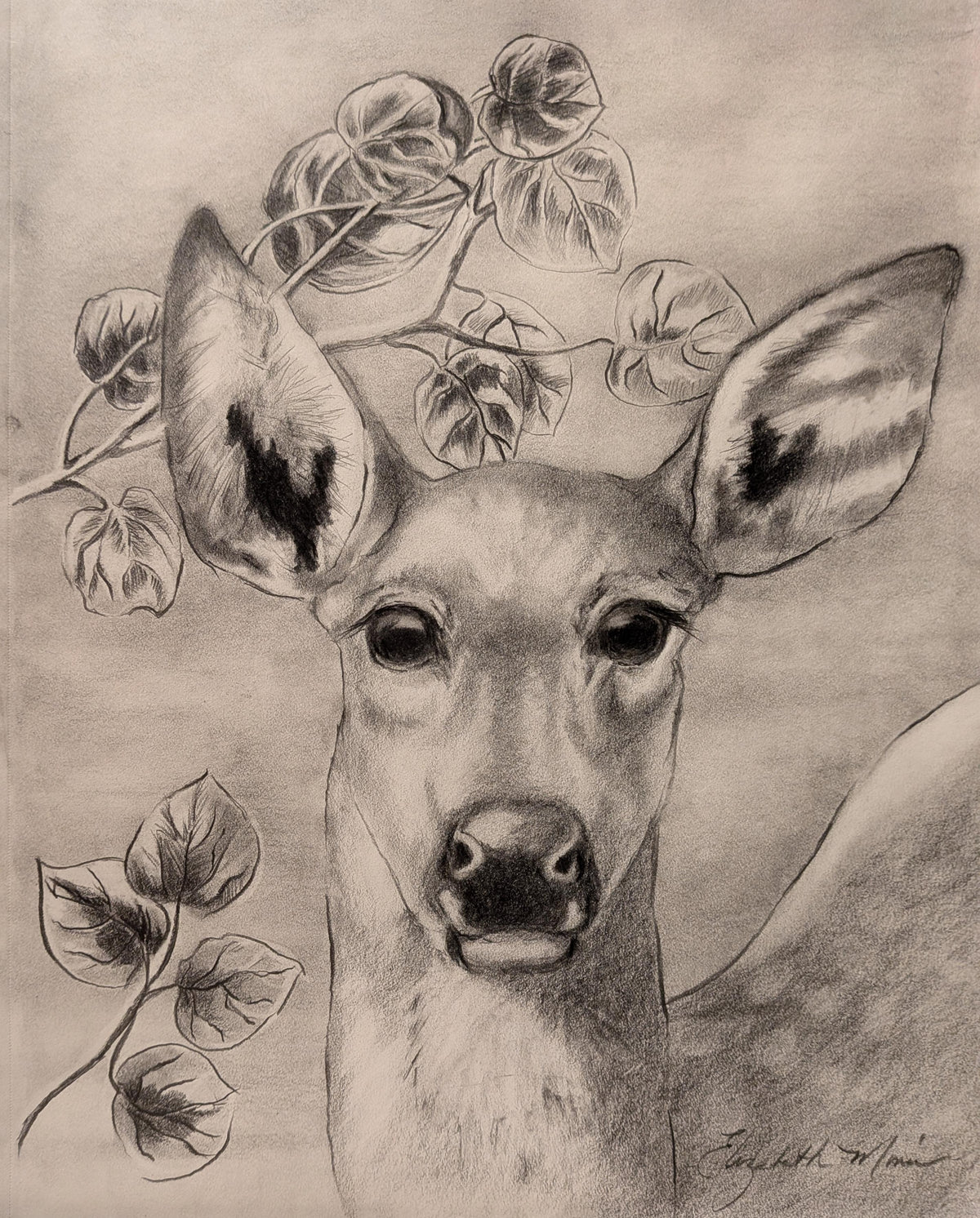 Young Doe