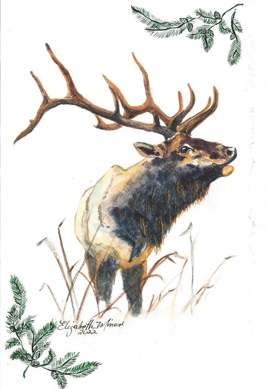 Bull Elk Bugle Painting