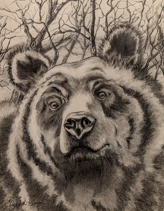 Grizzly Medicine