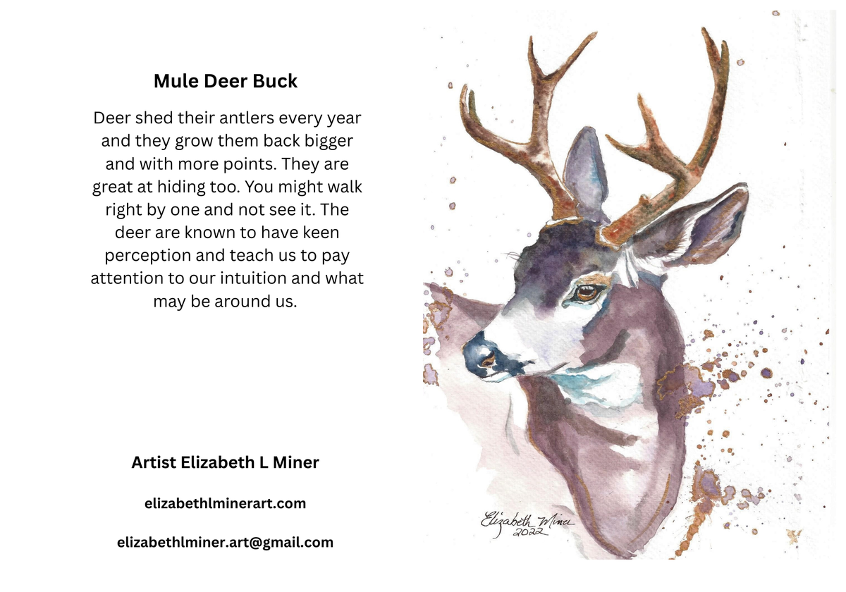 Mule Deer Buck Greeting Cards 5x7