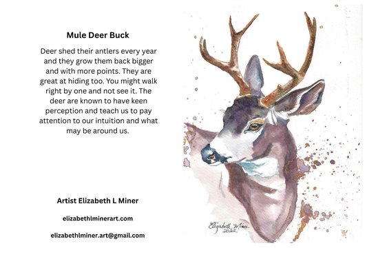 Mule Deer Buck Greeting Cards 5x7