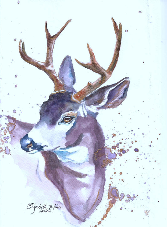 Mule Deer Buck