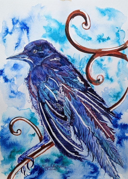 Tattered and Torn